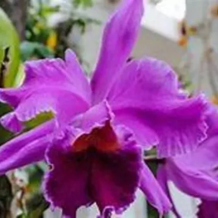 Keywise Family Luxury Infinity & Golf