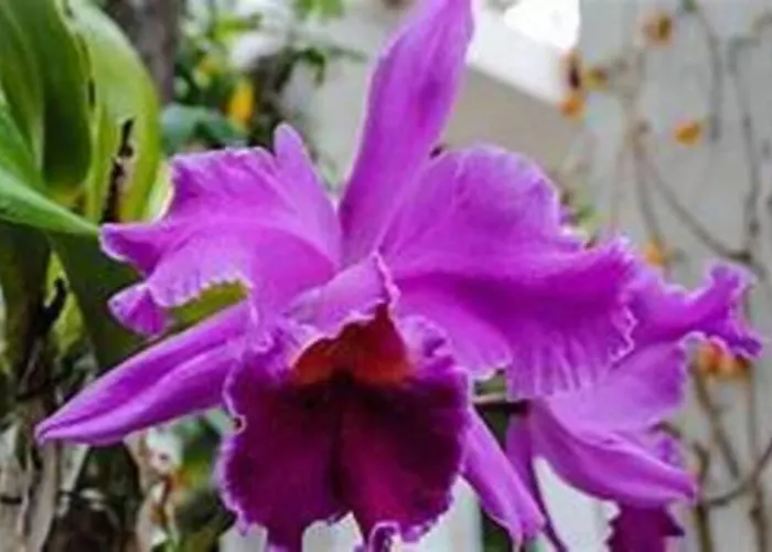 Keywise Family Luxury Infinity & Golf